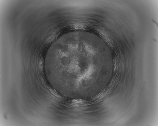 X0000098020269200804111305