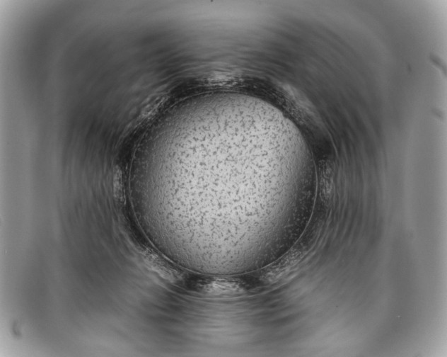 X0000098020270200804111305