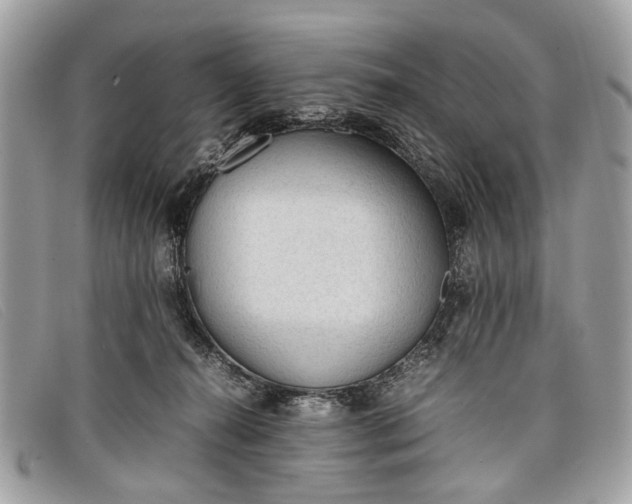 X0000098020272200804111305