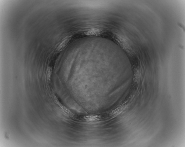 X0000098020273200804111305