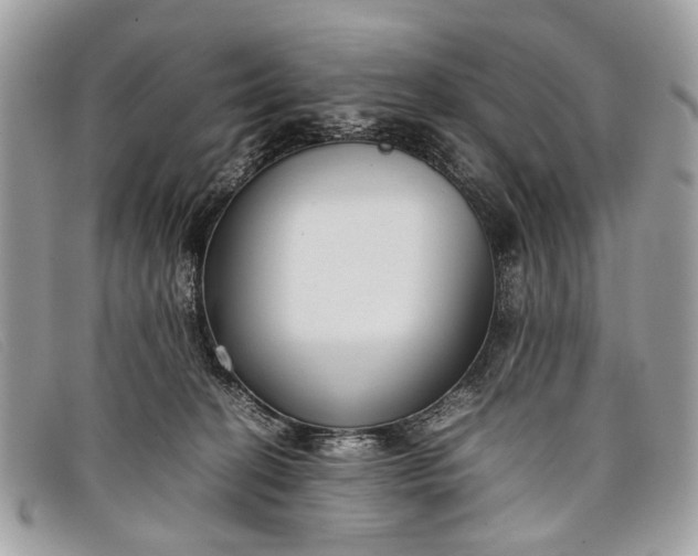 X0000098020274200804111305