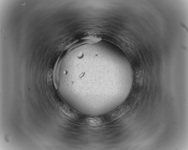 X0000098020275200804111305