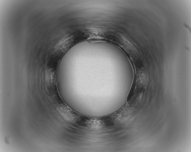 X0000098020276200804111305