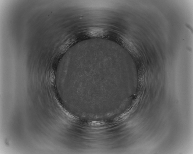 X0000098020277200804111305