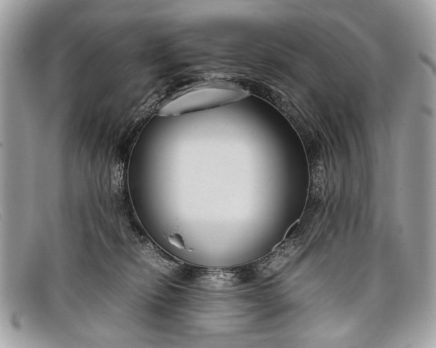 X0000098020278200804111305