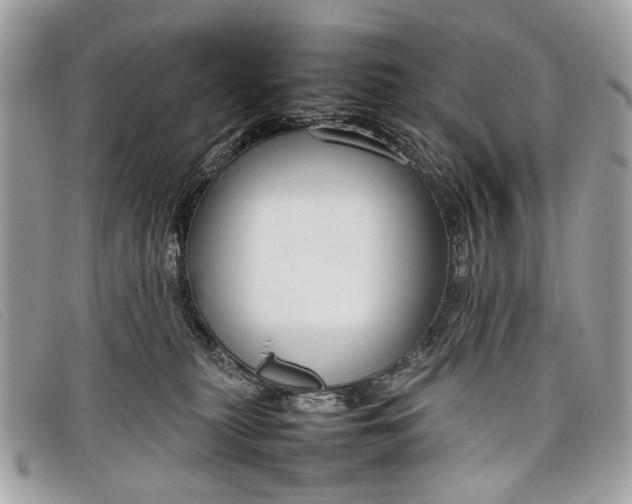 X0000098020279200804111305