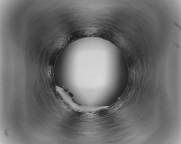 X0000098020280200804111305