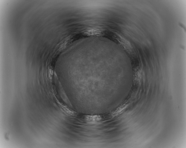 X0000098020281200804111305