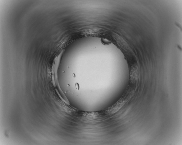 X0000098020282200804111305