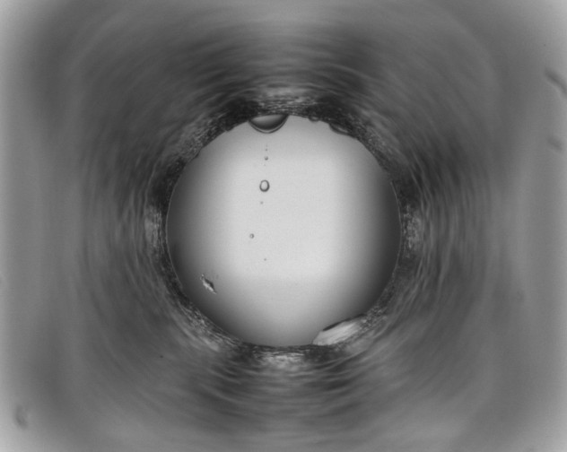 X0000098020283200804111305