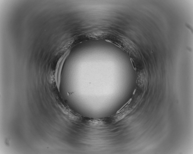 X0000098020284200804111305