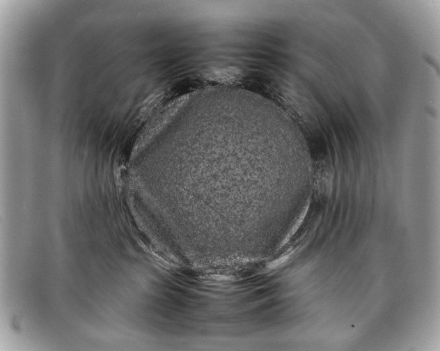 X0000098020285200804111305