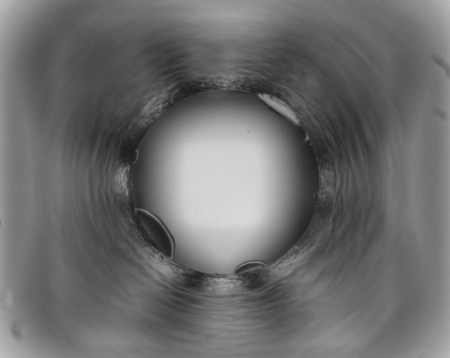 X0000098020286200804111305