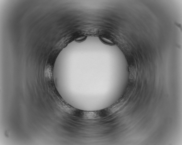 X0000098020287200804111305