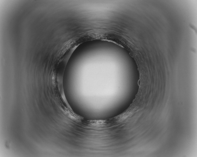 X0000098020288200804111305