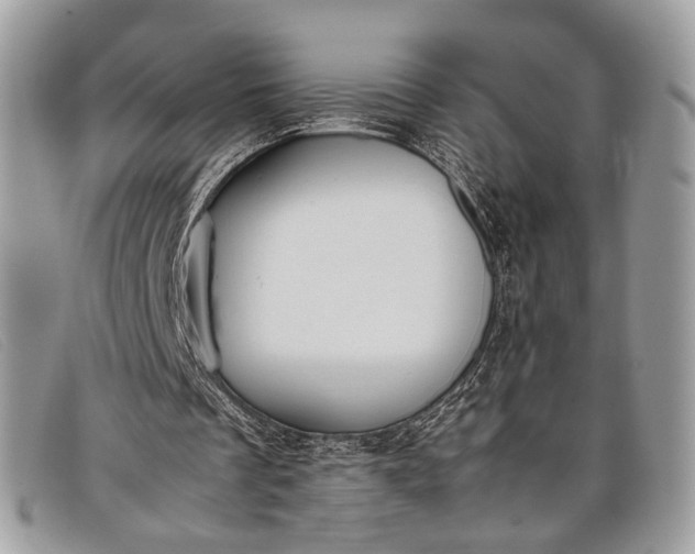 X0000098020289200804111305