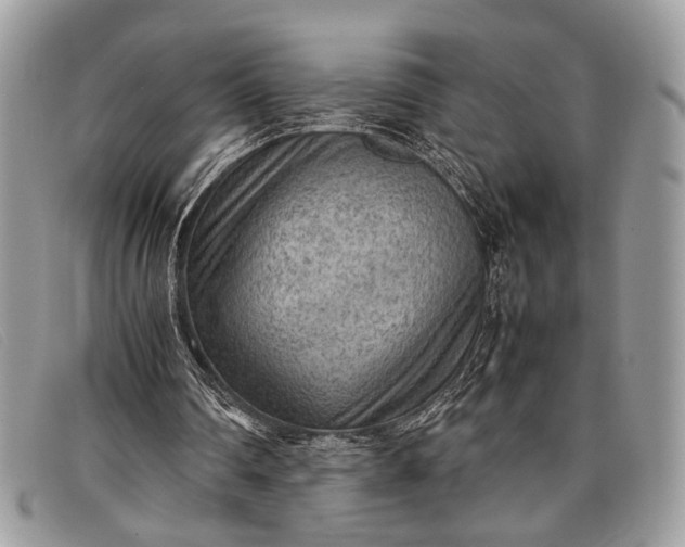 X0000098020290200804111305