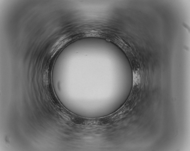 X0000098020291200804111305