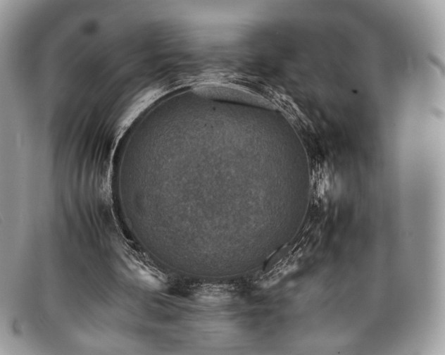 X0000098020292200804111305