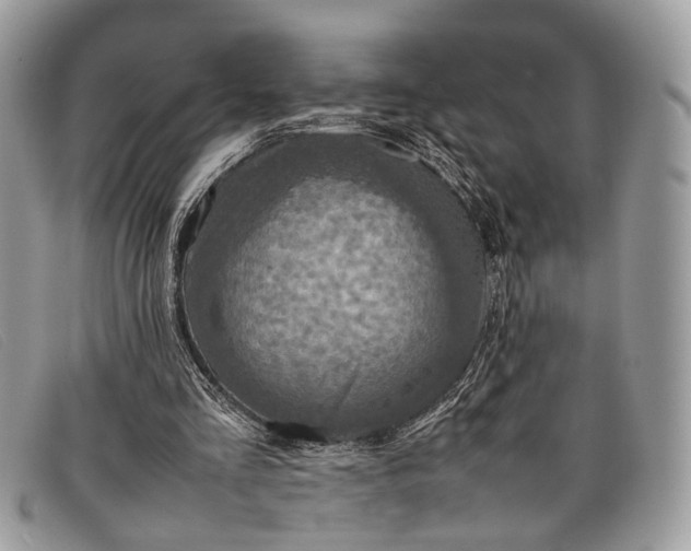 X0000098020293200804111305