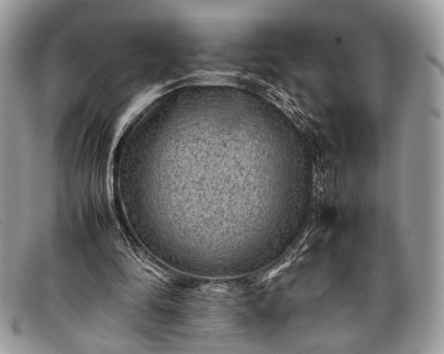 X0000098020294200804111305