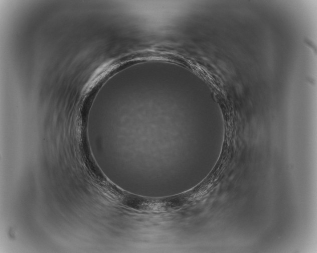 X0000098020295200804111305