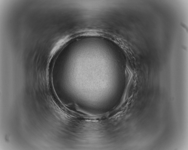 X0000098020296200804111305