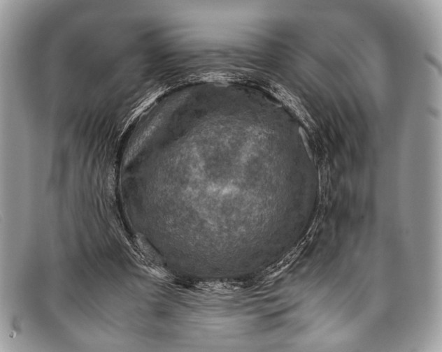 X0000098020297200804111305