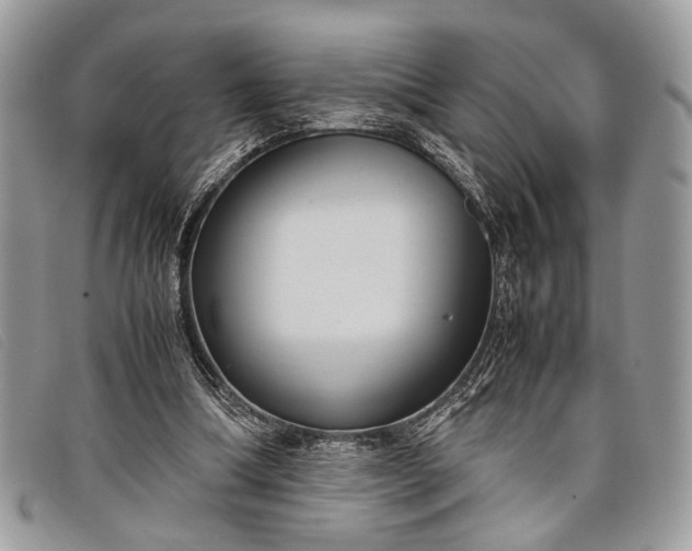 X0000098020298200804111305