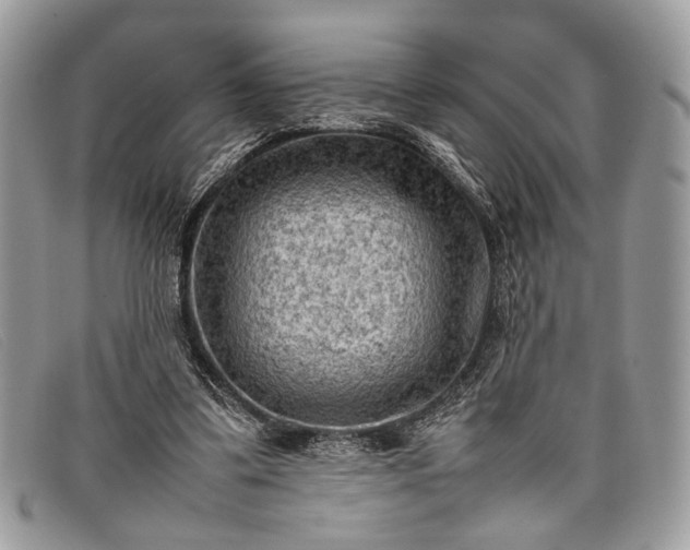 X0000098020299200804111304