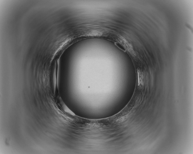 X0000098020300200804111304