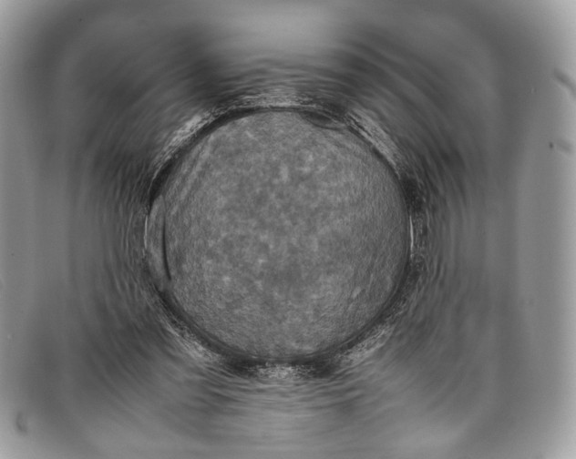 X0000098020301200804111304