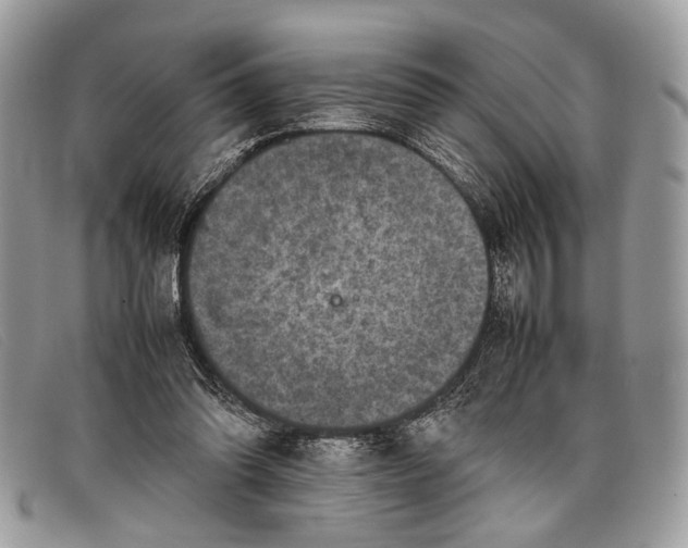 X0000098020302200804111304