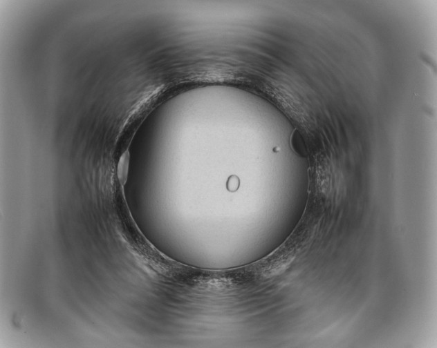 X0000098020304200804111304