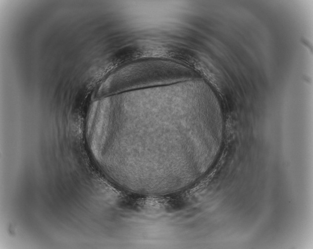 X0000098020305200804111304