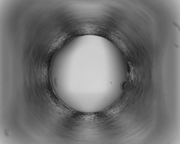 X0000098020306200804111304