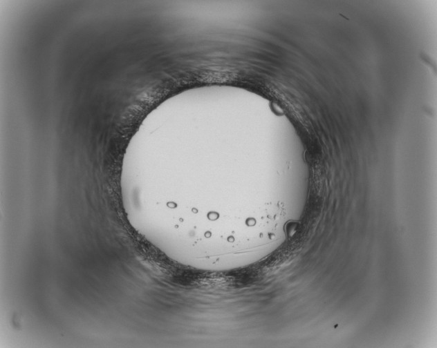 X0000098020307200804111304