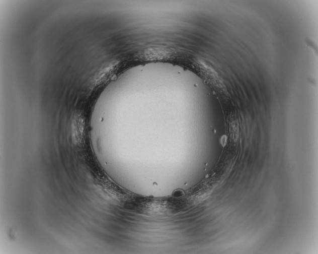 X0000098020308200804111304