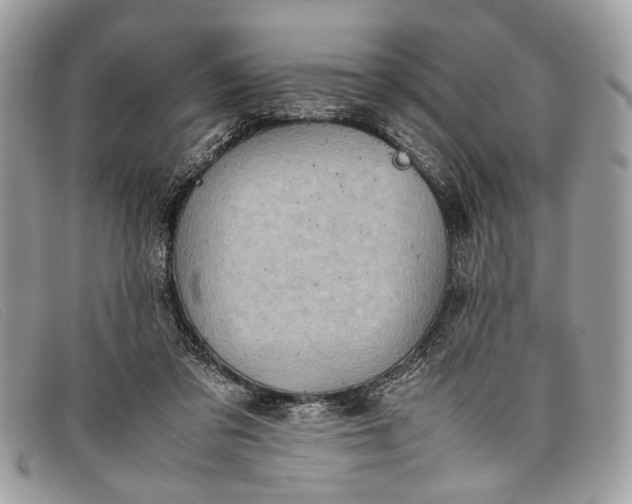 X0000098020309200804111304