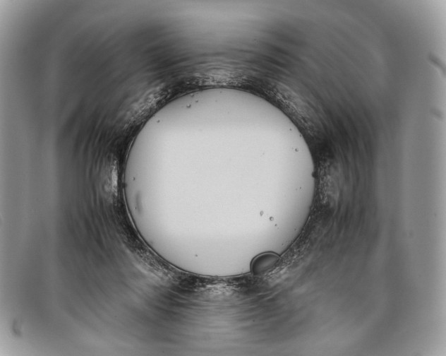 X0000098020310200804111304