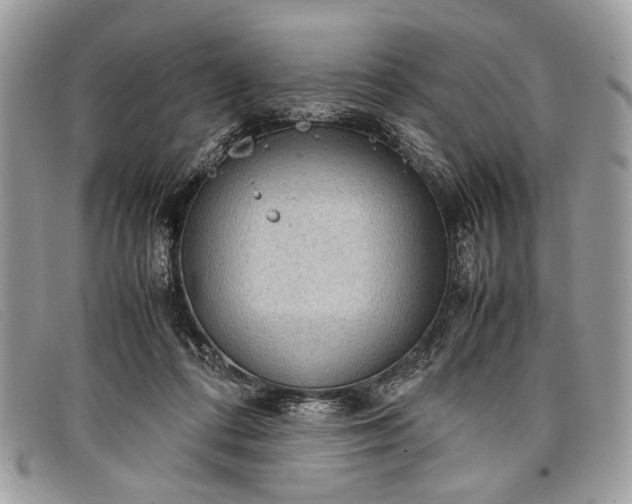 X0000098020312200804111304