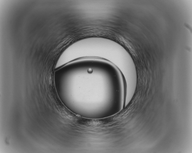 X0000098020313200804111304