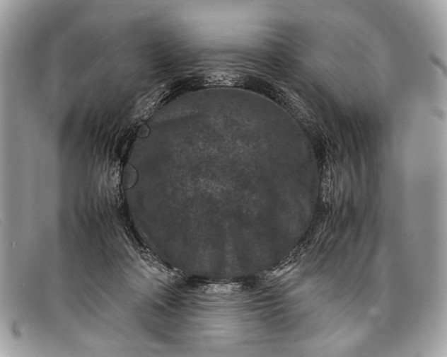 X0000098020314200804111304