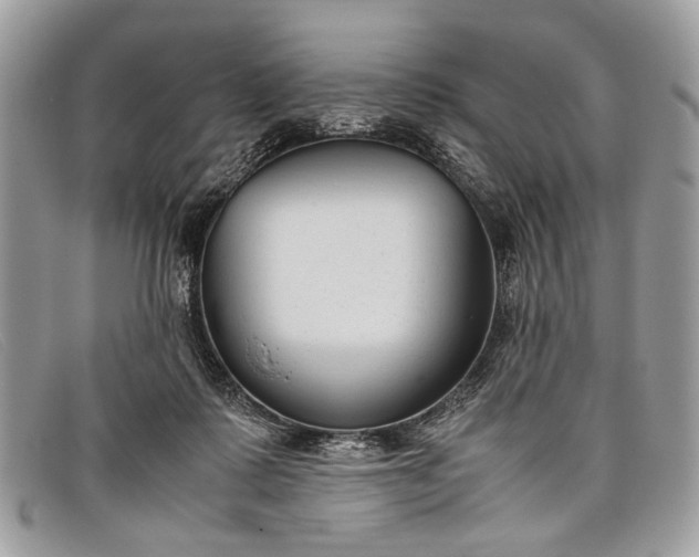 X0000098020315200804111304