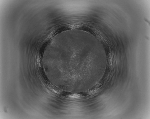 X0000098020316200804111304