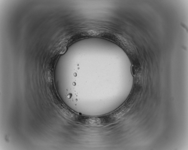 X0000098020317200804111304