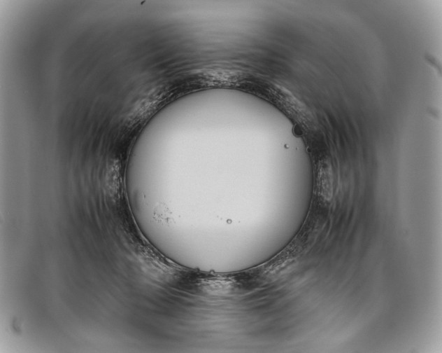 X0000098020318200804111304