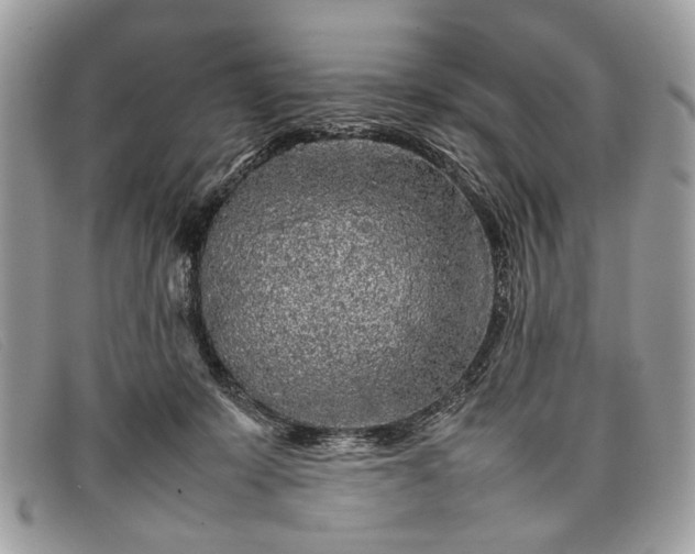 X0000098020319200804111304