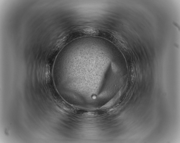 X0000098020320200804111304