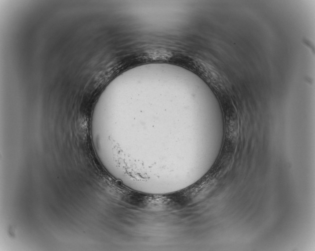 X0000098020321200804111304